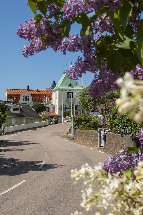 anmälan